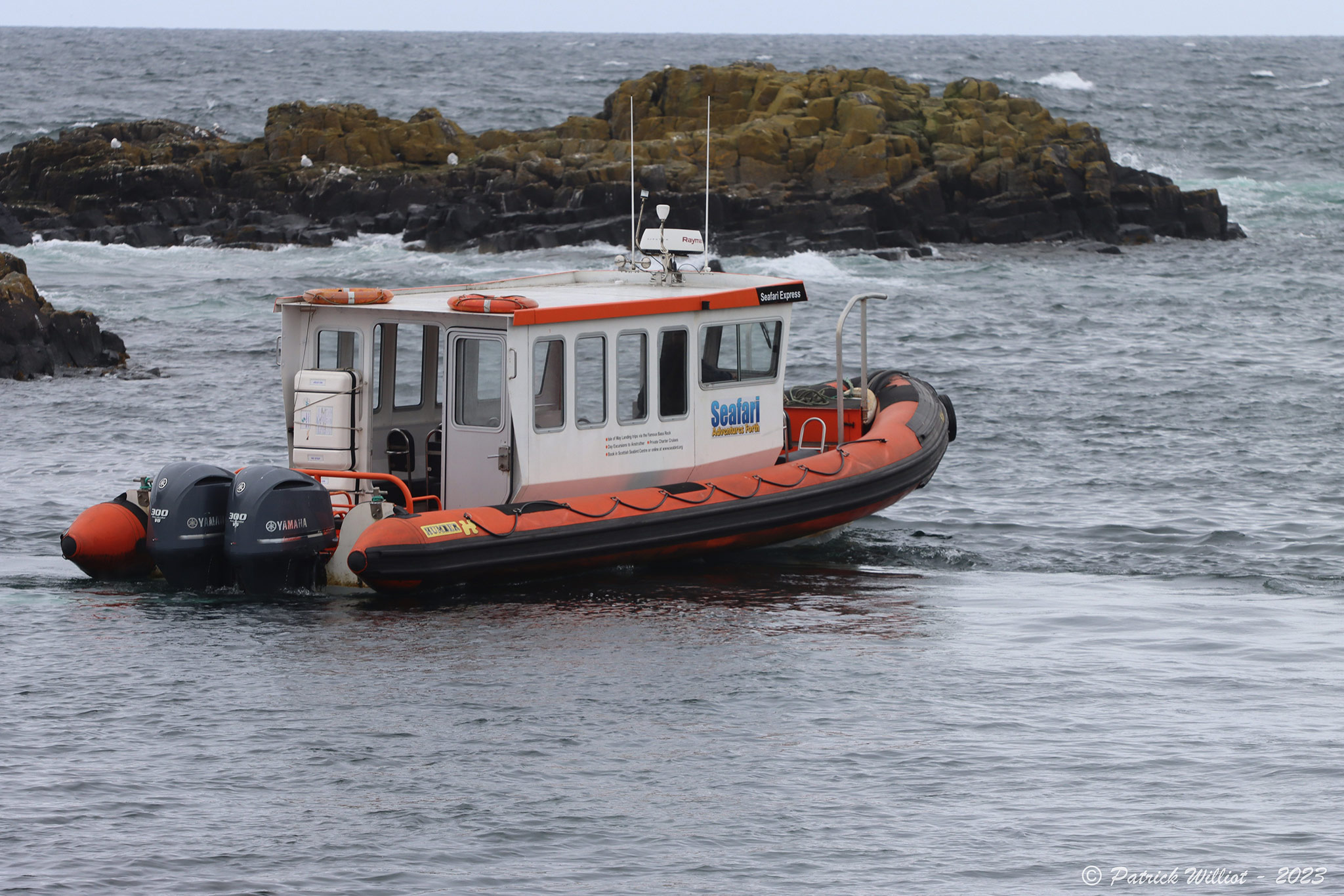 Isle of May National Nature Reserve